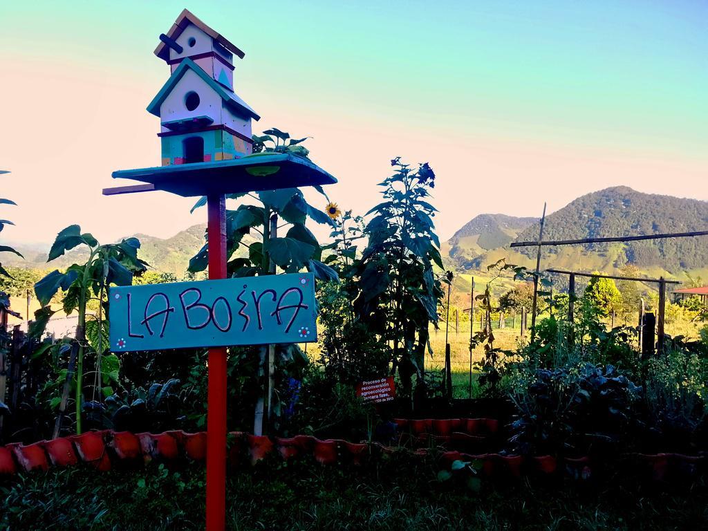 Hospedaje Rural La Boira Jardín Extérieur photo