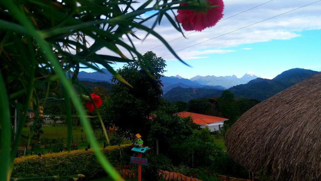 Hospedaje Rural La Boira Jardín Extérieur photo