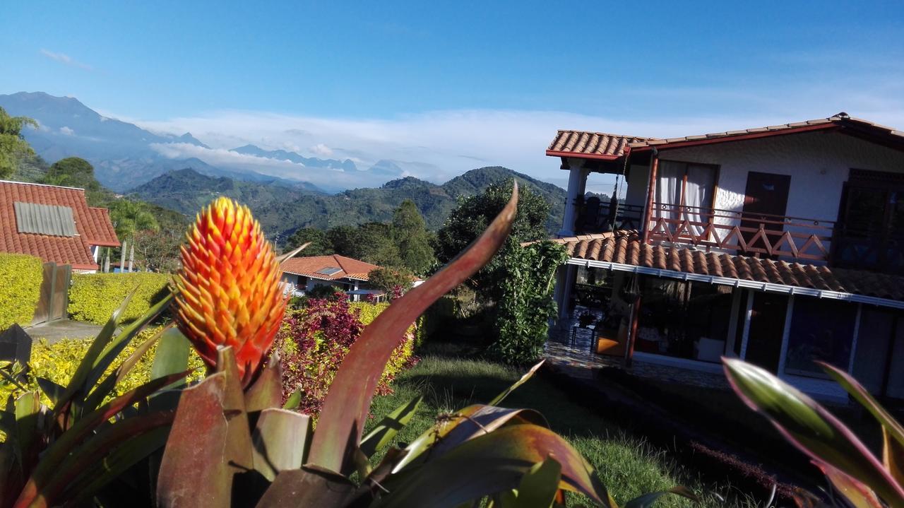 Hospedaje Rural La Boira Jardín Extérieur photo