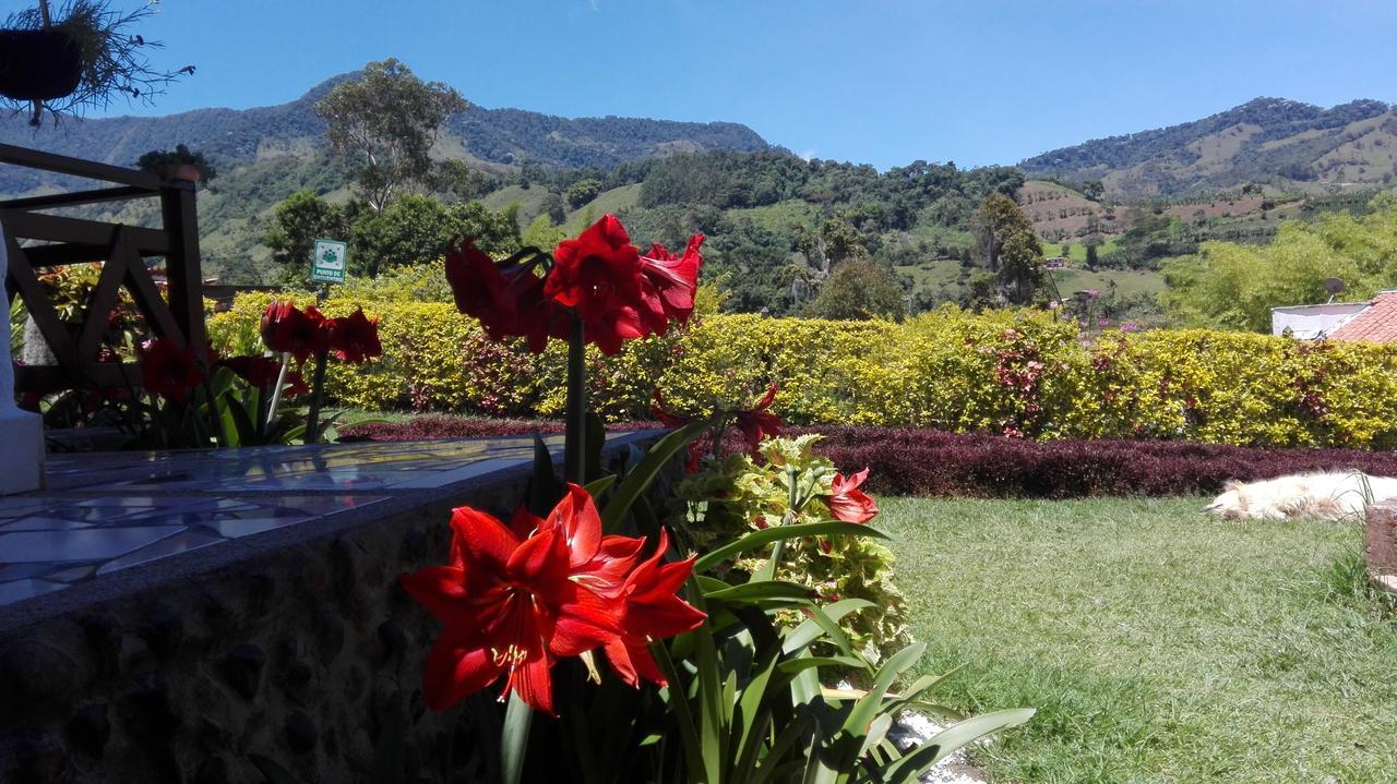 Hospedaje Rural La Boira Jardín Extérieur photo